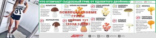 дживик Абинск