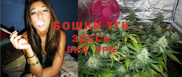 дживик Абинск