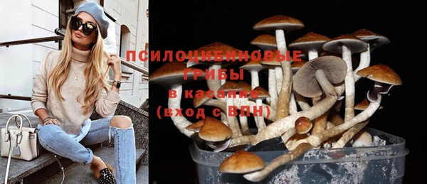 прущий лед Абдулино
