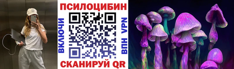 как найти закладки  Королёв  Галлюциногенные грибы прущие грибы 