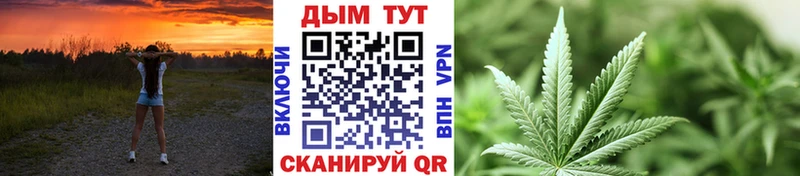 Каннабис планчик Королёв